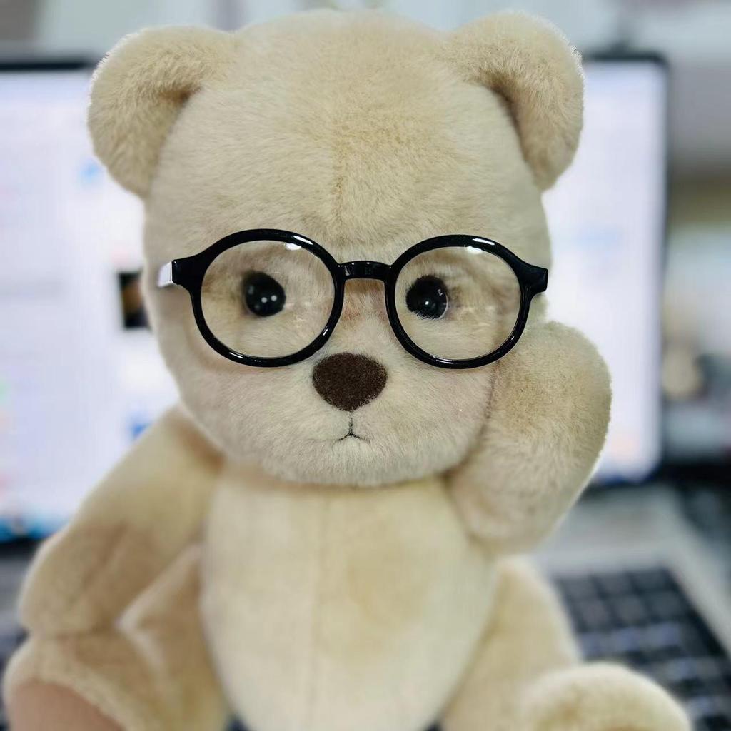Lina Bear 30CM Doll Shoes & Accessories: S Size, Glasses, Cute Camera Bag