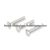 GB873 Carbon Steel Semi-Hollow Rivet with Large Flat Head (M3-M6)