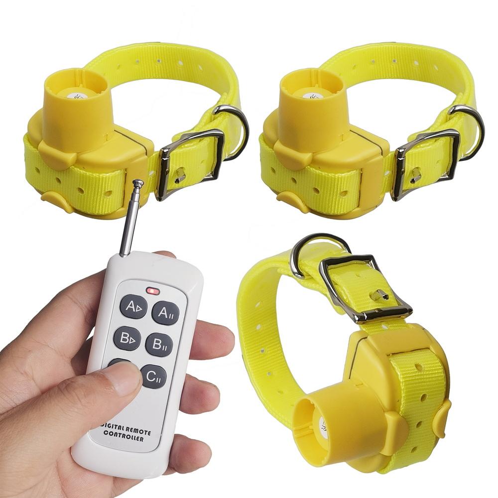 Zgardă de dresaj pentru animale de companie