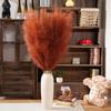 Of Artificial Pampas Grass Large 140cm Bohemian Scandinavian Interior Living Stylish Photo Wedding Safe Easy Return Guarantee Set of [Set 8] (Fake