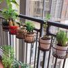 Balcony Railing, Flower Rack, Orchid Special Rack, Iron Orchid Pot Rack, Indoor Flower Rack, Hanging Green Ivy And High Flower Pot