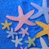Luminous Starfish Resin Jewelry Accessories - DIY Handmade Materials