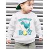 European sizes Kids'  Fashion Fleece Sweatshirt BIRTHDAY Kid Dinosaur And Dinosaur Eggs Cartoon Pattern Print Loose Casual Long Sleeve Pullover