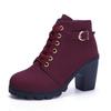 Fashion 2025 New High Heeled Women Boots Cross Straps Short Boots Comfortable Platform Boots Side Zipper Botas Femininas Plus Size 42