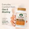 Maharishi Ayurveda Dizomap, Ayurvedic Tablet Medicine For Indigestion & Constipation, Improves Liver Functioning & Intestinal Flora, Saunf, Sonth