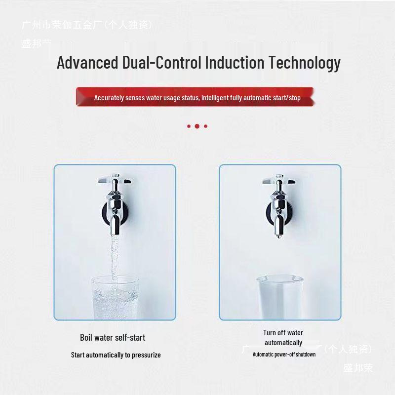 Bomba de Poço Autoescorvante de Aço Inoxidável: Bomba de Pressão de Água Automática com Alto Poder de Sucção