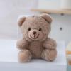 Adorable Panda Plush Keychain Pendant - Cute Pet Doll Gift
