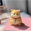 New Cute Chubby Cat Orange Soft Give Birthday Gifts To Girls and Kid Home Decor Ornaments Cats Bedroom Living Room Miniatures