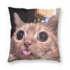 Katzen-Memes Lustiger Meme-Druck Kissenbezug Weicher Kissenbezug für Sofa Auto Heimdekoration Modischer Kissenbezug