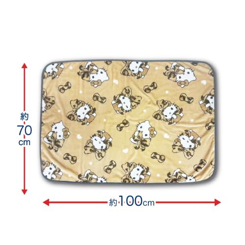Hatayama Shoji Sanrio Flannel Throw, 70x100cm, Hello Kitty, Approx. H70xW100cm, 66203211