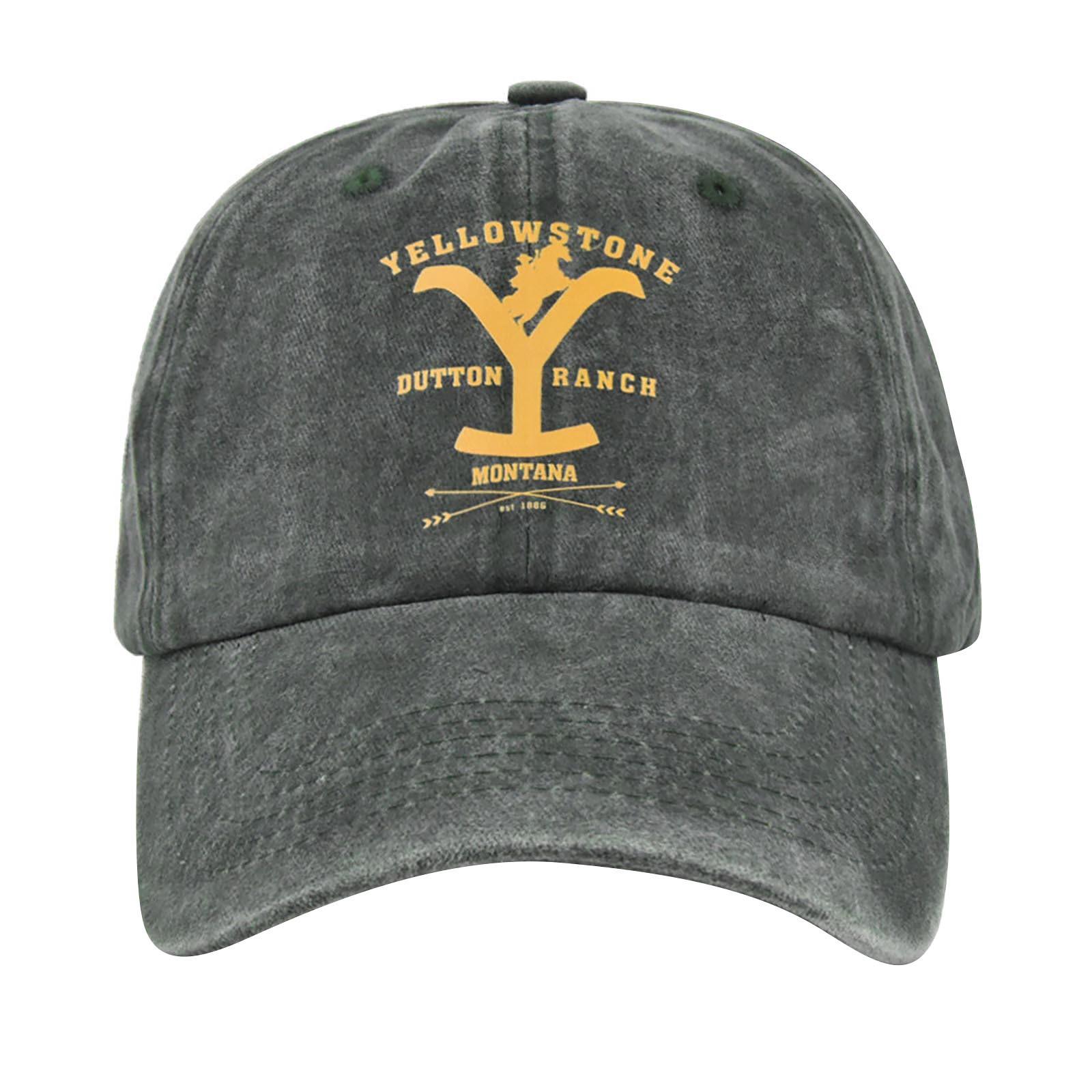 

Embroidery Baseball Cap For Mens Womens Adjustable Ponytail Outdoor Sunscreen Cap Trucker Cap One Size