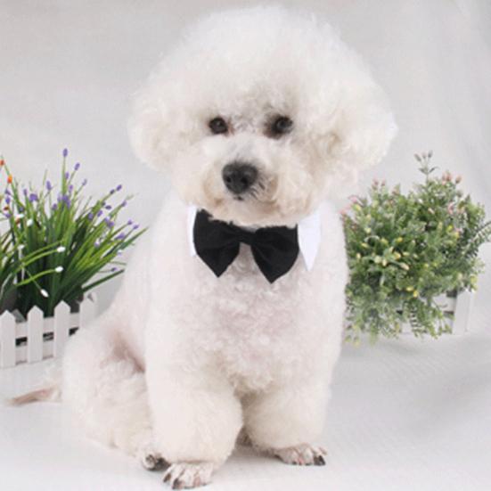 Fashion Dog Puppy Cat Bow Tie Adjustable Neckband Collar Neck Strap Pet Supplies