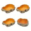 1PC Reptile Water Bowls Terrarium Plate Reptile Feeder Amphibian Feeding Bowl for Frog Chameleon Tortoise Bearded Dragon Turtle