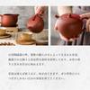 Apple for Tea Leaves Spread Taiwanese Made In Japan and Chinese Teaware Red Teapot, 250ml, 1-2 People, Freely, Stylish, Teapot, Taiwan, (Apple Teapot,