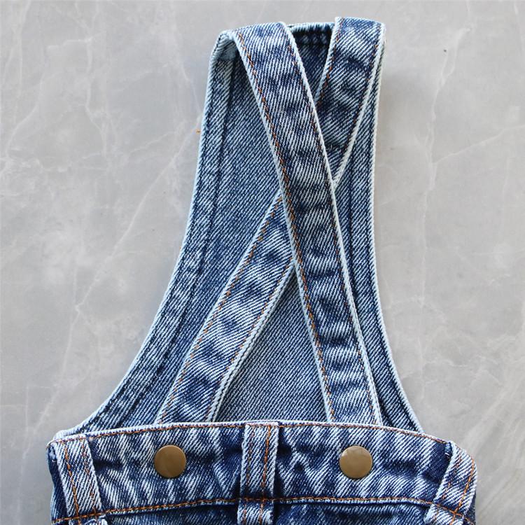 Bichon Teddy Denim Overalls: All-Season Four-Legged Outfit for Small Dogs