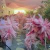 10Pcs Artificial Pampas Grass Decoration Realistic Fluffy Tall Fake Dried Grass Home Office Wedding Party Table Centerpiece Boho Decor