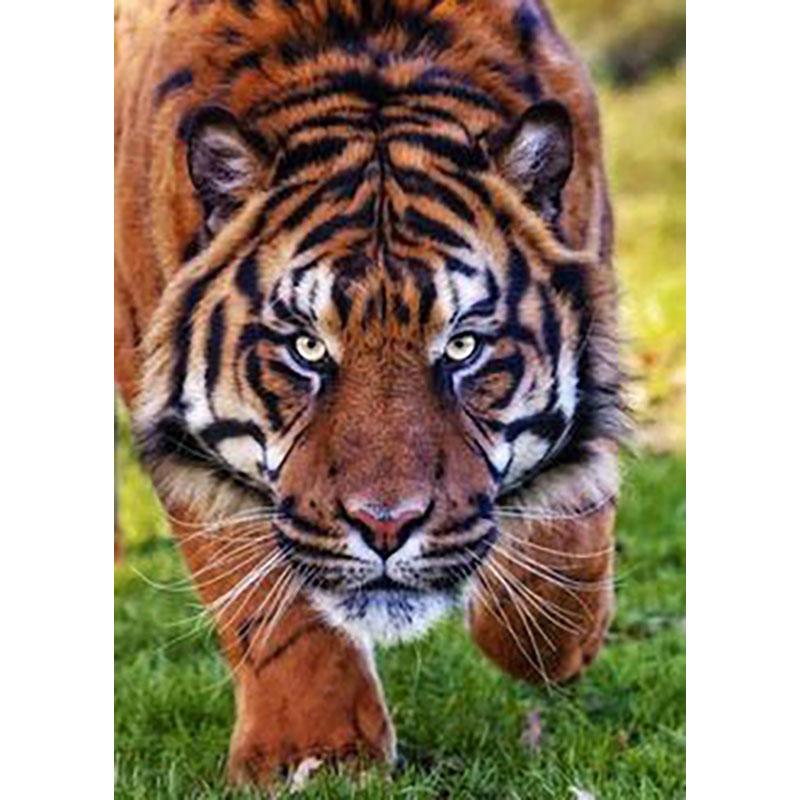 5D Diy Diamond Painting Animal Tiger Diamond Embroidery Full Drill Rhinestones Daimond Painting Mosaics Home Decor Cross Stitch