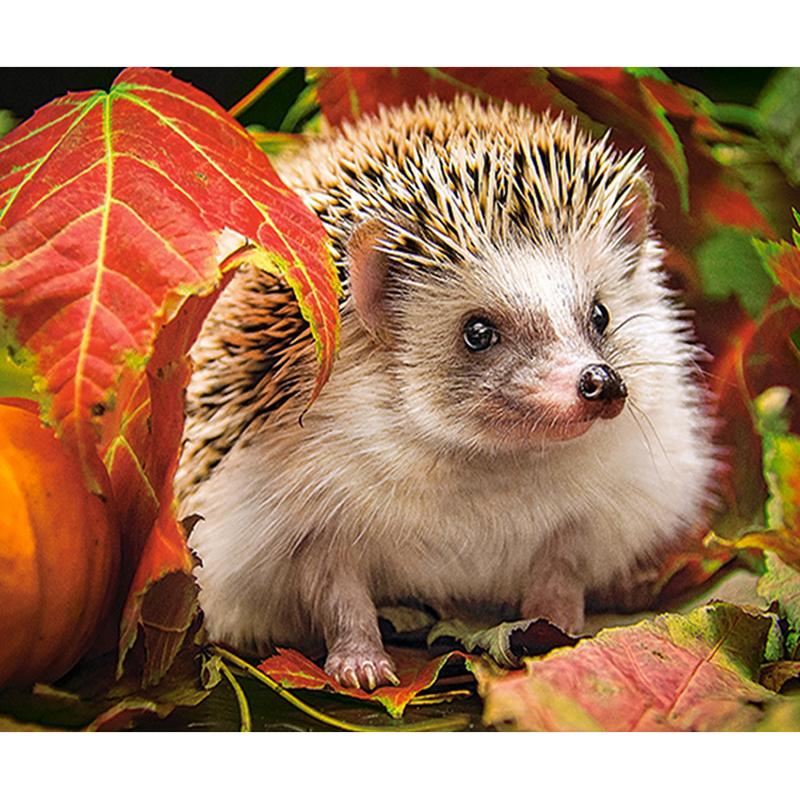DIY Hedgehog 5D Diamond Painting Full Round Drill Animal Diamond Embroidery Cross Stitch Mosaic Kits Wall Art Home Decor Gift