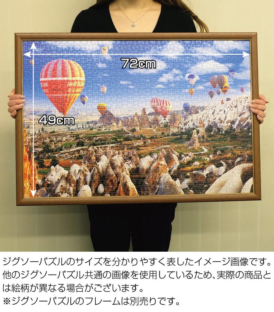 1000 Piece Jigsaw Puzzle World Heritage Collection 40 (49x72cm)