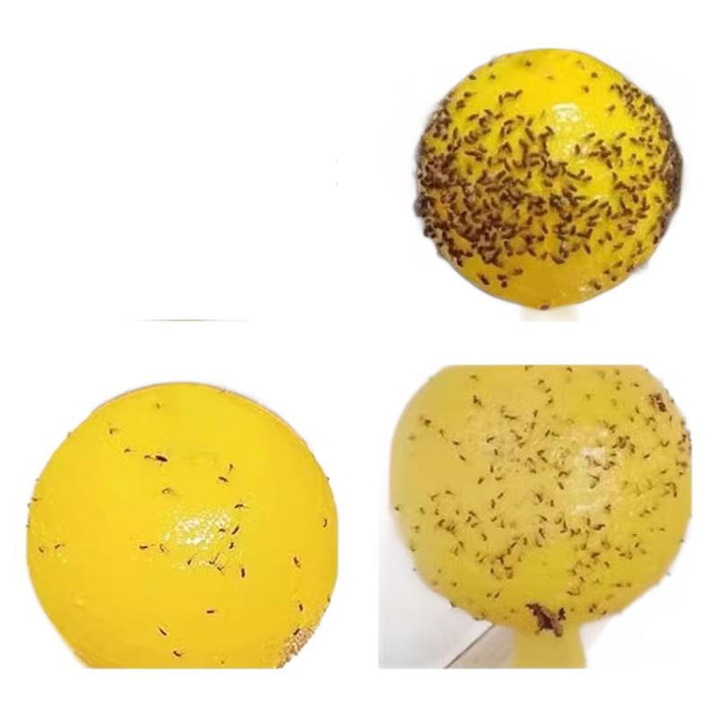 Loofah Fruit Double-sided Yellow Board Paper Sticky Insect Ball