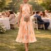 Spring New, Elegant Vacation Print Neck Sleeveless Dress Long Dress