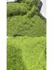 Artificial Woolly Moss Lawn for Indoor Landscaping and Decoration