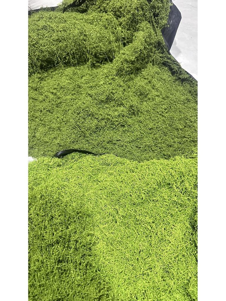 Artificial Woolly Moss Lawn for Indoor Landscaping and Decoration