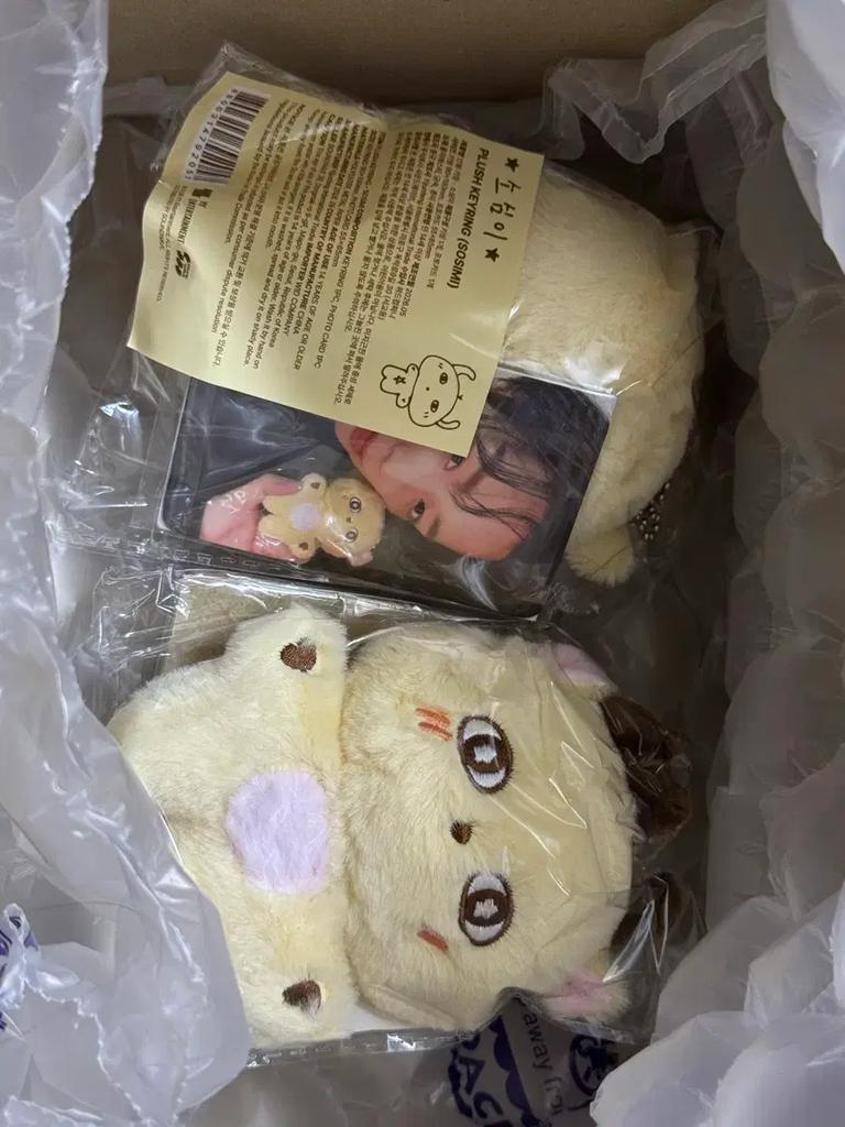 Park Ji-hoon's "Timid" (unopened) (Direct Transaction from KINTEX)