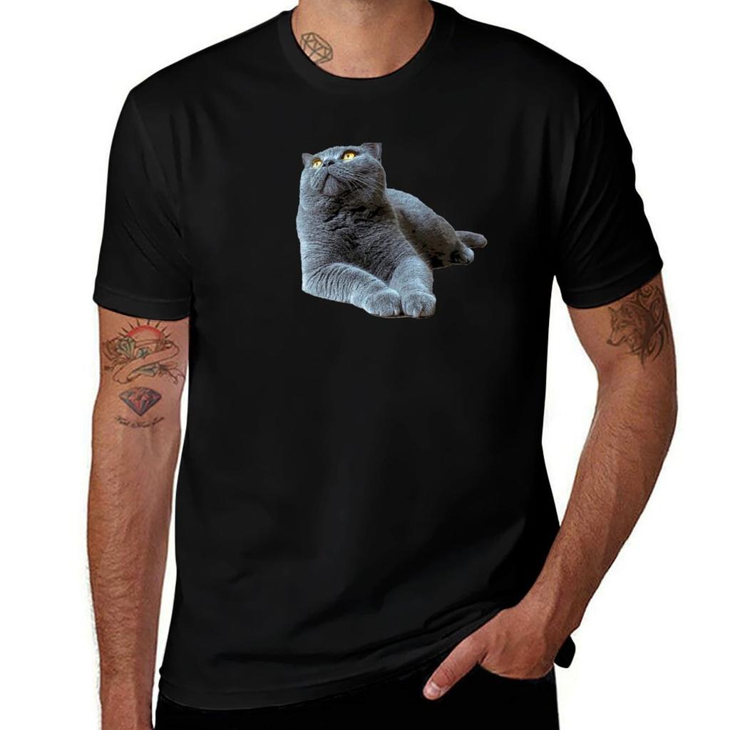 British Shorthair Cat - Blue with Orange eyes T-Shirt Casual Everyday Short Sleeve T-Shirt