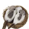 Künstliche Federvögel-Modellfiguren mit Strohornament, Foto-Requisiten