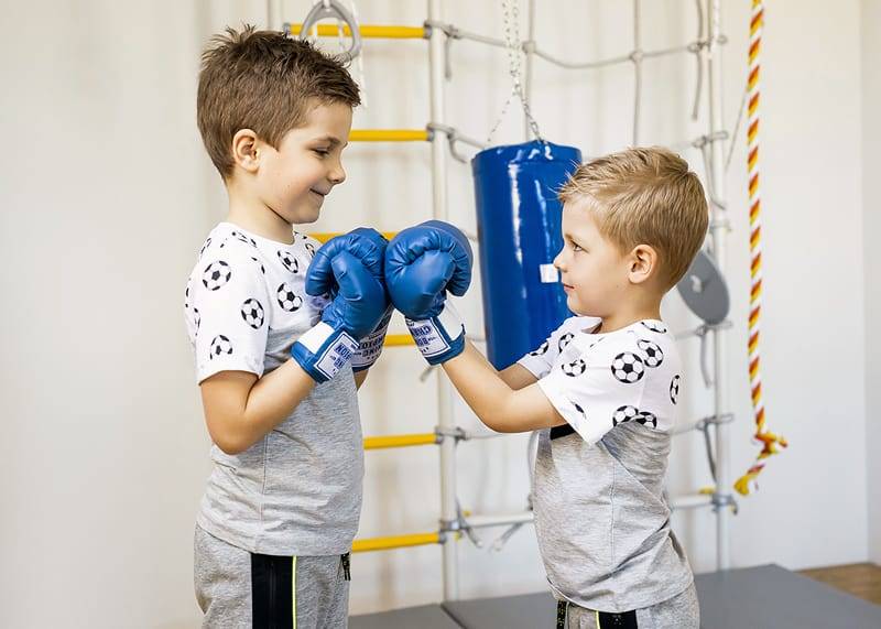 boxing bag 12 kg