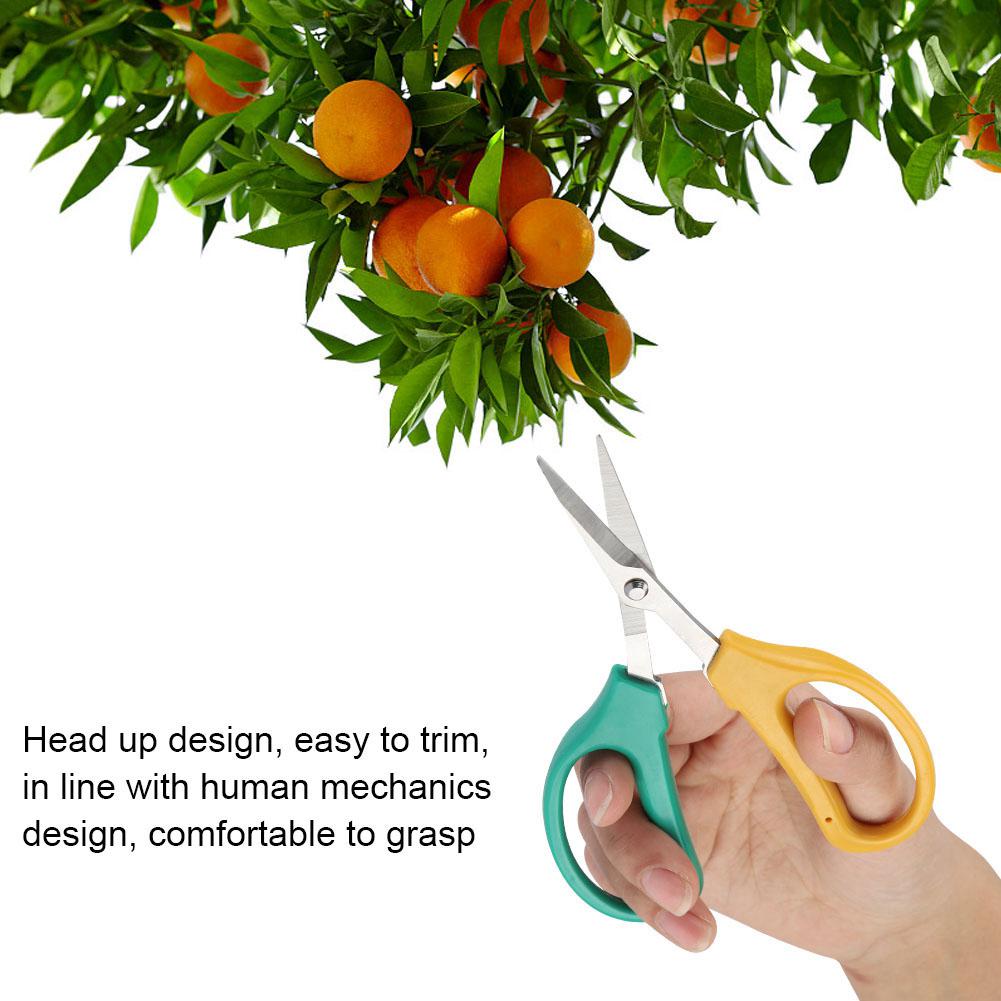 Pruning Shear, Stainless Steel Garden Hand Pruner Secateurs Cutter Scissors Pruning Shear Safe Easy To Trim Relax Plants Bush Tool for Gardener Family