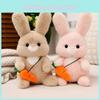 Adorable Sitting Carrot Rabbit Plush Toy Cute Bunny Doll For Girls Holiday Gift