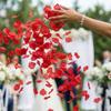 990pcs DIY Simulated Rose Petals Wedding Romantic Artificial Rose Petals Party Supplies Valentine's Day Decoration Wedding