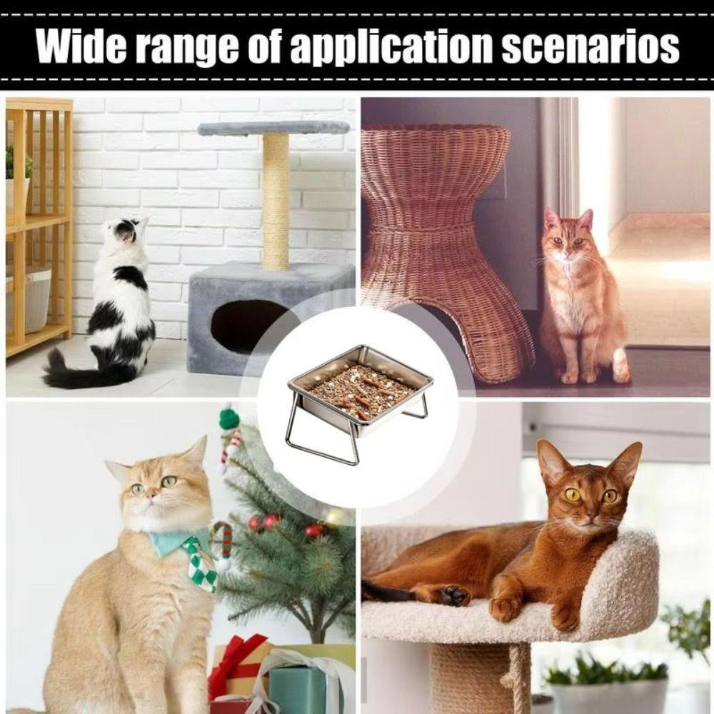 Stainless Steel Dog Food Bowls Raised Pet Feeding Dish Durable Cat Water Bowl  Pet Feeder