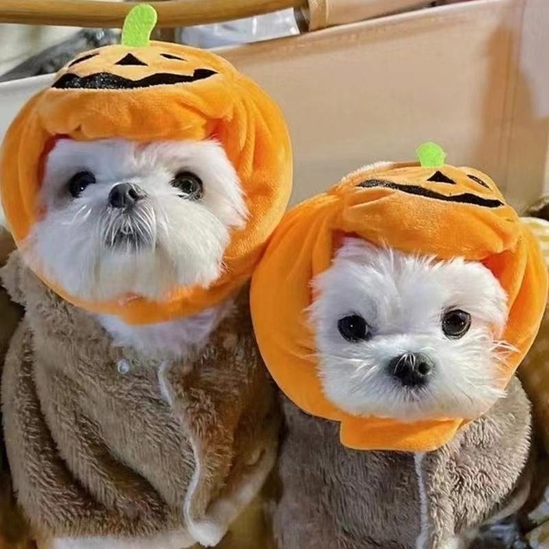 Cats Halloween Decorative Hat Soft Comfortable Pet Hat Soft Pet Pumpkins Hat for Photo And Parties