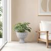 Decorațiuni pentru casă – Ghivece de flori decorative