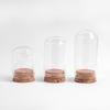 30mm Cork Glass Bottle - Small Capacity for Reagents, Wishes, or Messages