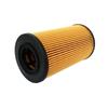 Lei Xiang Oil Filter for JAC HFC6700JK4