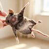 Bendable Mouse Keychain Simulated Mouse Doll Funny Rat Plush Pendant  Bag Charm