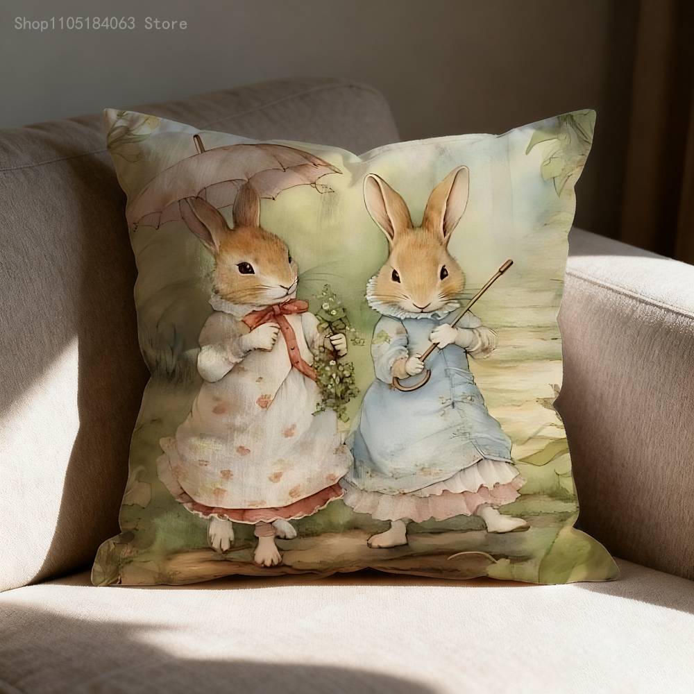Наволочка для декоративной подушки P-Peter Rabbit для подушек размером 55x55 см, 30x30 см, 50x50 см, 45x45 см, 40x40 см (квадратная). 30cmx30cm