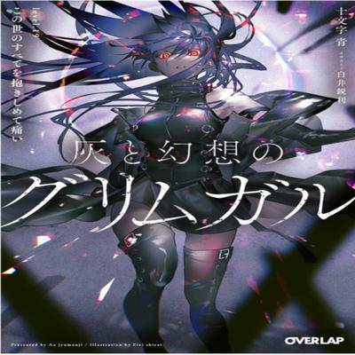 Grimgar of Fantasy and Ash Light Novel Vol. 19 by Ao Jyumonji Paperback Book 9781638586456