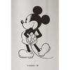 YAXEL Disney Pair Tumblers, Set of 2, 440ml, Stainless Steel, Vacuum Insulated, Mickey & Minnie, Gift Set, 81180