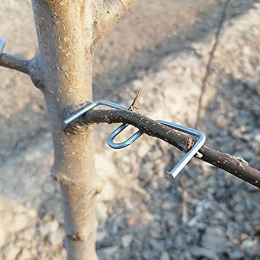 10Pcs Shape Fixator Branch Shaping Device M-Shaped Tree Branch Bender Fruit Tree Training