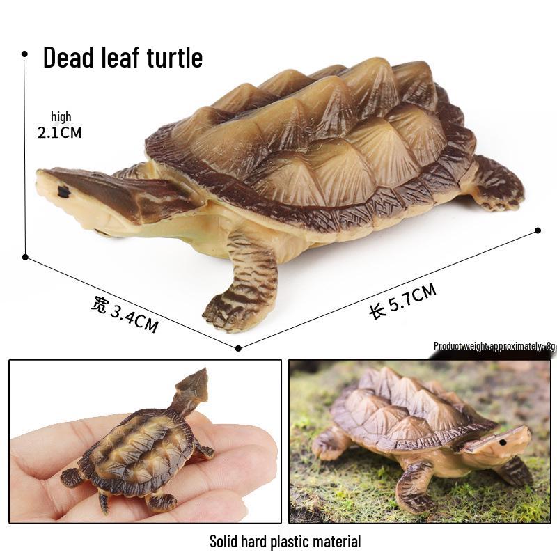 Wild Animal Model: Children's Simulation Turtle Gift Set - Tortoise Variants & Spiderweb Design.