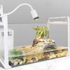 Turtle Basking Terrarium Heat Lamp Light Bulb for Reptile Tanks Turtles/Lizards/Frogs/Iguanas