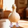 Pet Shoes -Dirt - Outdoor Boots for Call Poultry