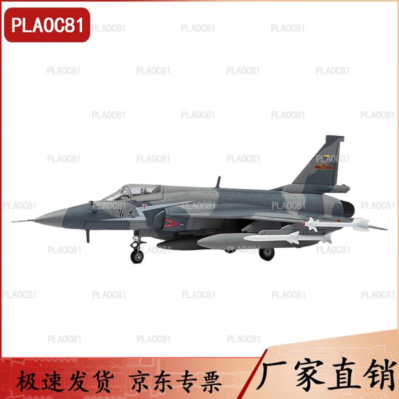 JF-17 Thunder Fighter 1:48 Diecast Aircraft Model