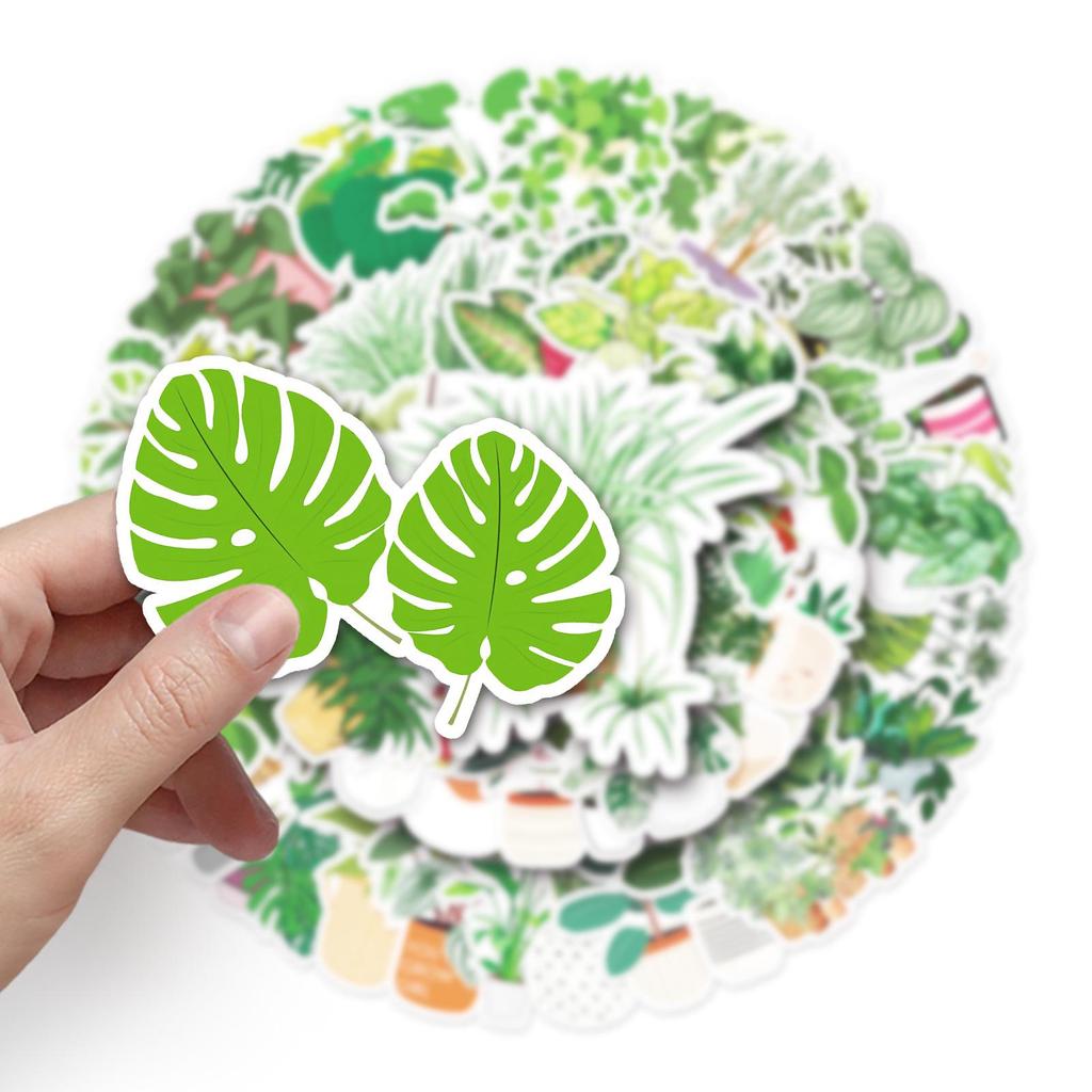 50 Green Plant Stickers: Cartoon-Style for Suitcases, Laptops, Cars, and More