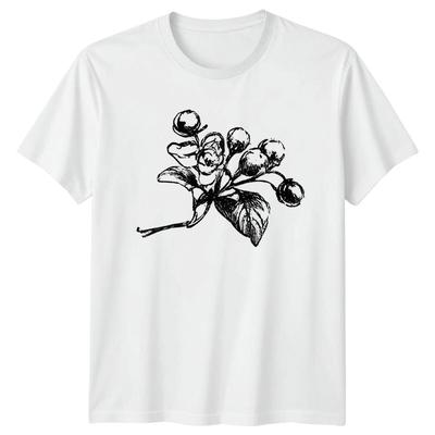 Tops – Camisetas